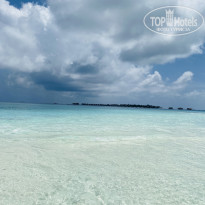 фото из отзыва ID 2358863