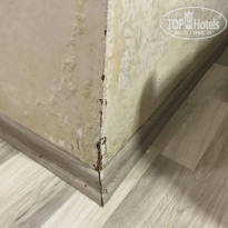 фото из отзыва ID 2358937