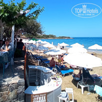 фото из отзыва ID 2358999