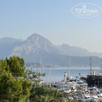 фото из отзыва ID 2353918