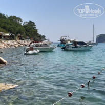 фото из отзыва ID 2359168