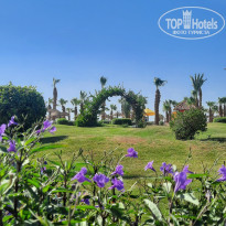 фото из отзыва ID 2359243