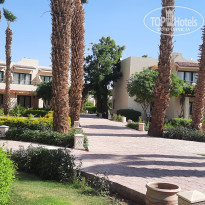 фото из отзыва ID 2359243