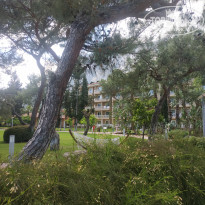 фото из отзыва ID 2359264