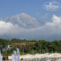 фото из отзыва ID 2359280