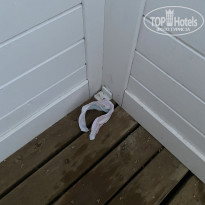 фото из отзыва ID 2359549