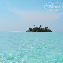 фото из отзыва ID 2359573