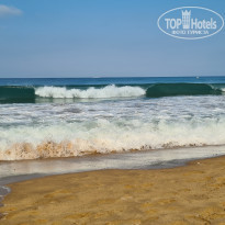 фото из отзыва ID 2359618