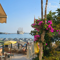 фото из отзыва ID 2359618