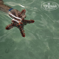 фото из отзыва ID 2359682