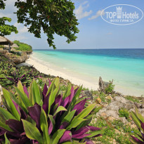 фото из отзыва ID 2359682