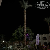 фото из отзыва ID 2359776