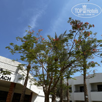 фото из отзыва ID 2359776