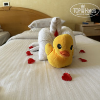 фото из отзыва ID 2359776