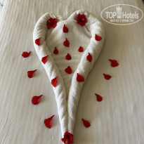 фото из отзыва ID 2359776