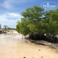 фото из отзыва ID 2359777