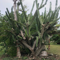 фото из отзыва ID 2359777