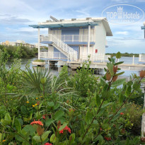 фото из отзыва ID 2359777