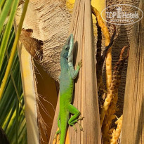 фото из отзыва ID 2359777