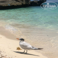 фото из отзыва ID 2359777