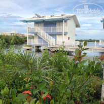 фото из отзыва ID 2359777