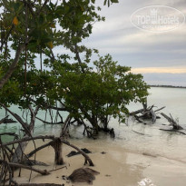 фото из отзыва ID 2359777