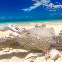 фото из отзыва ID 2359777