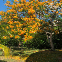 фото из отзыва ID 2359777