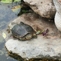 фото из отзыва ID 2359777