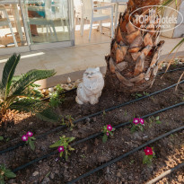 фото из отзыва ID 2357553