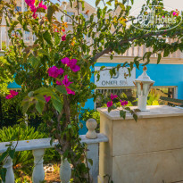 фото из отзыва ID 2357553