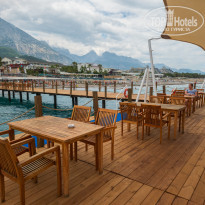 фото из отзыва ID 2357553