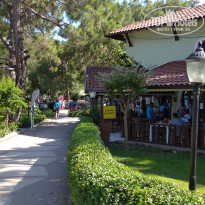 фото из отзыва ID 2359865