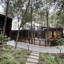 фото из отзыва ID 2359605