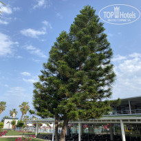 фото из отзыва ID 2357804