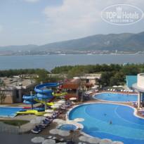 фото из отзыва ID 236695