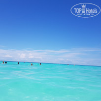 фото из отзыва ID 2360035