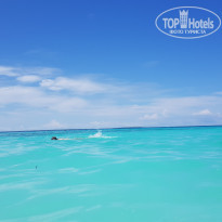 фото из отзыва ID 2360035