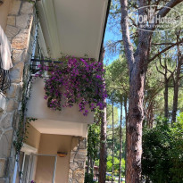 фото из отзыва ID 2360049