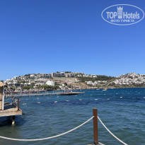 фото из отзыва ID 2360065