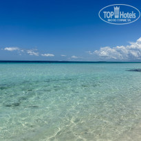 фото из отзыва ID 2360234