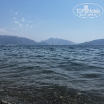 фото из отзыва ID 2360271