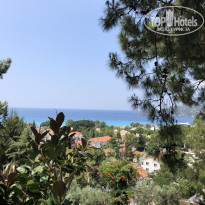 фото из отзыва ID 2360315