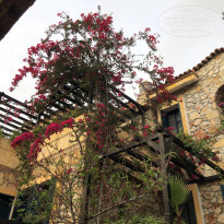 фото из отзыва ID 2360315