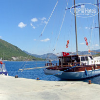 фото из отзыва ID 2360189