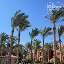 фото из отзыва ID 2360424