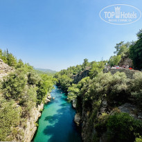 фото из отзыва ID 2360488