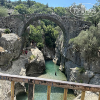 фото из отзыва ID 2360488