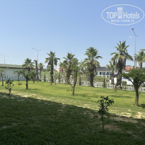 фото из отзыва ID 2360488