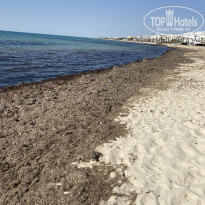 фото из отзыва ID 2360520